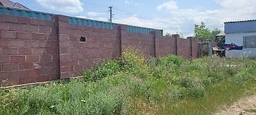 молодая гвардия баялинова: 16 соток, Красная книга, Тех паспорт — 6