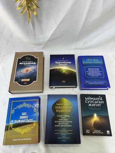 работа для начинающих программистов в бишкеке: Китептер — 5