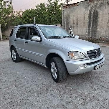 street: Mercedes-Benz ML-Class: 2003 г., 3.7 л, Автомат, Бензин, Внедорожник — 1