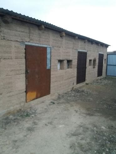 карабалта вознесеновка дом: 65 м², 3 комнаты, Бронированные двери, Амбарная, Подвал, погреб — 4