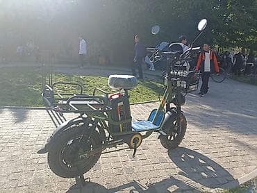 Спорт жана хобби: Электрдик велосипеддер — 3