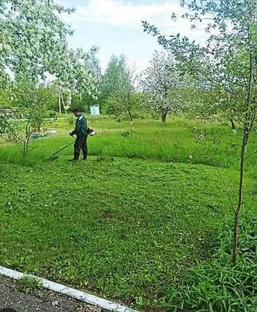 Клининговые услуги: Уборка территории, Стрижка газона — 1
