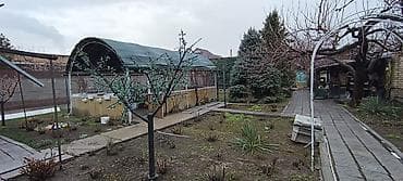 сасновка уй: 4 соток, Для бизнеса — 4
