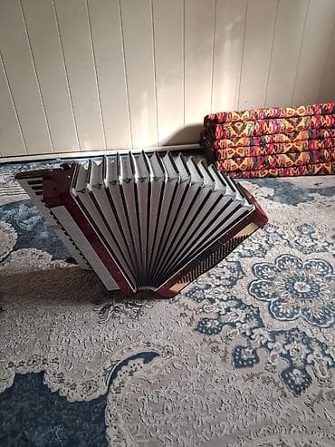 велотренажер купить: Аккордеон (клавишный) в красно-перламутровом корпусе. Характеристики — 2