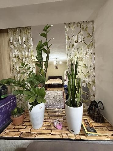 дешёвые квартиры в бишкеке: 2 комнаты, Собственник, Без подселения, С мебелью частично — 6