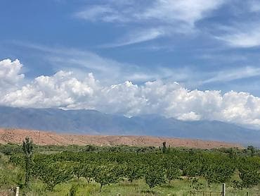 участки в джалал абаде новые объявления: 680 соток, Для бизнеса, Договор купли-продажи — 2