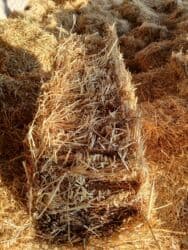 продажа щенков немецкой овчарки с документами в бишкеке: Продаю салому ячменая с доставкой беловодске 200 сом — 5