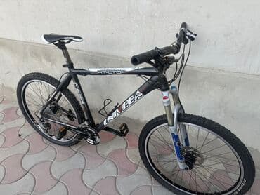 купить трехколесный электровелосипед для взрослых бу: Из Германии — 2