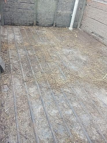 6: Грузовик, МАЗ, Стандарт, 7 т, Б/у — 4