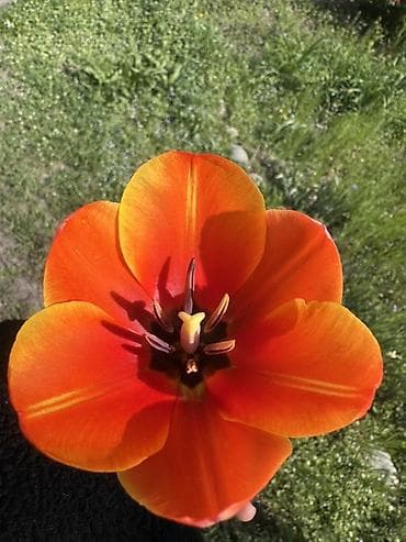 С радостью помогу вам с ребенком🙂 могу у себя дома могу и выезжать