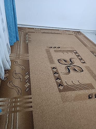 Ковры: Ковер Б/у, 500 * 300 — 3