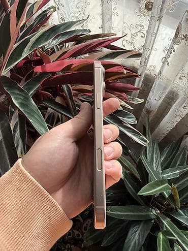 дисплей на айфон 5с: IPhone 16 Pro Max, 256 ГБ, Desert Titanium, 92 % — 2