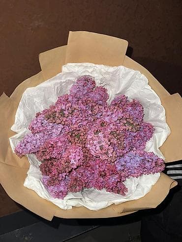 Майрамдык товарлар: КАЛИРОВАНАЯ СИРЕНЬ букет из живой кустовой сирени БУКЕТЫ ПО 800 1000 — 2