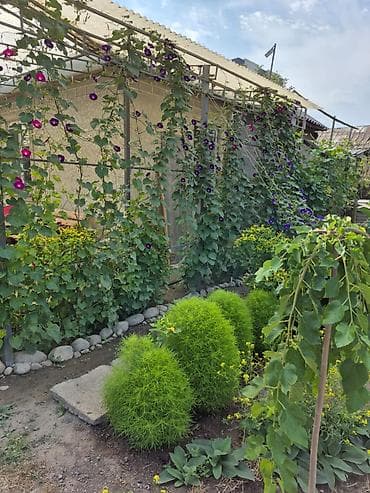 посуточные дом: 30 м², 1 комната, Парковка — 2