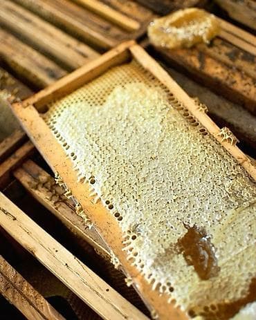 оптом товарлар: Натуральный пчелиный мёд из сот - 100% чистый продукт прямой от — 1