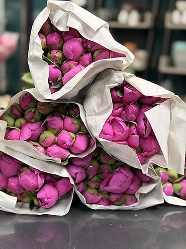 бутон: ПИОНЫ ОПТОМ Свежие бутоны Цена договорная Цвета: розовый, белый — 1