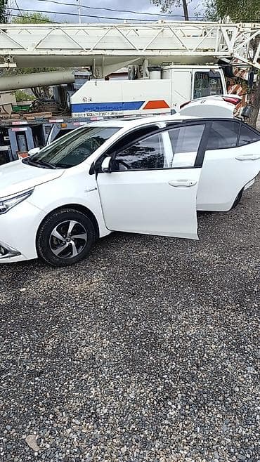 пленка карбон: Toyota Corolla: 2018 г., Гибрид, Седан — 2