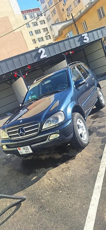 srv 2: Mercedes-Benz M-Class: 2002 г., 2.7 л, Автомат, Дизель, Внедорожник — 1