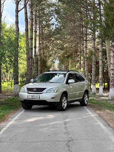 решетки 210: Lexus RX: 2004 г., 3 л, Автомат, Бензин, Кроссовер — 4