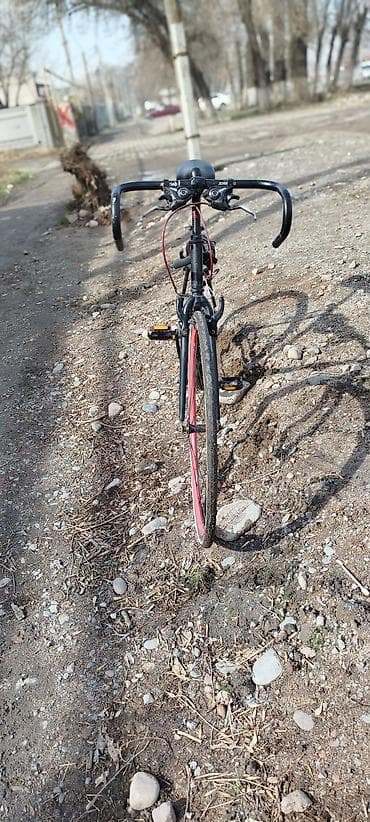 trinx m1000pro: Торг есть Продаю шосейник рама м дёшово сезон закрыт скоро подорожает — 3