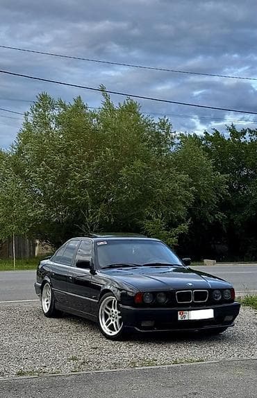 BMW 5 series: 1993 г., 4.4 л, Механика, Бензин, Седан
