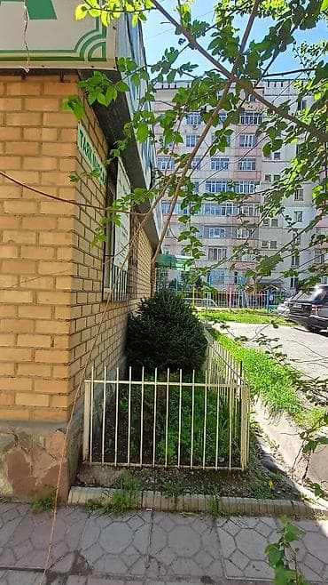 агро аптека: Здание, 80 м² — 3