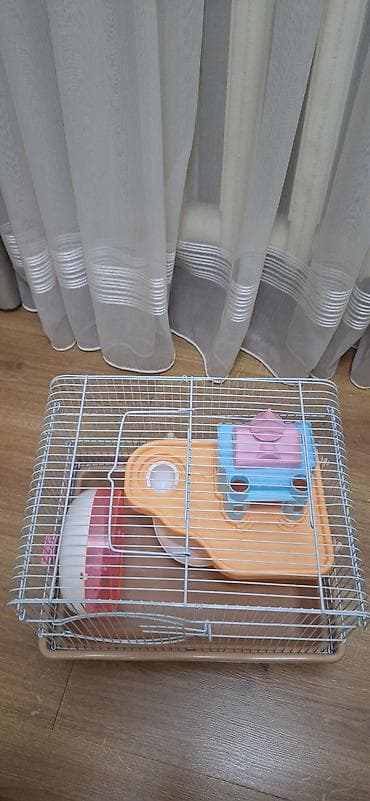 Кемирүүчүлөр: Клетка для хомяка/крысы б/у 36x27 — 4