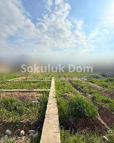 сокулуе: 5 соток — 3