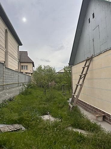 бах: 8 соток — 9