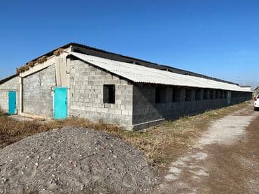 село раздольное кыргызстан: Сдаю в аренду базу в селе Раздольное для МРС и КРС(бычки 100 голов) — 1