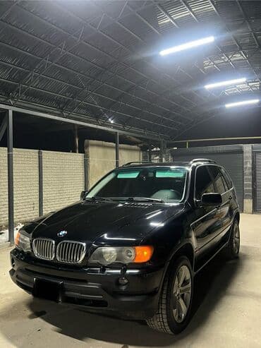 bmv e60: BMW X5: 2002 г., 4.4 л, Автомат, Бензин, Внедорожник — 8