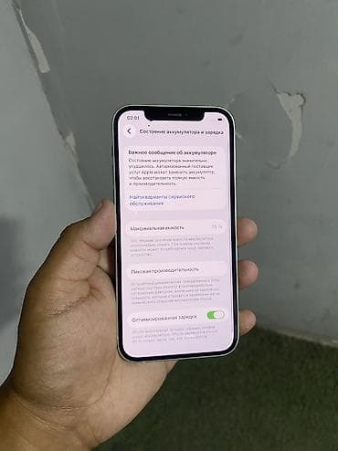 iphone r: IPhone 12, Новый, 128 ГБ, Alpine Green, Чехол, Коробка, 75 % — 4