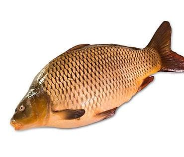 помпа вода: Сазан амур на доращивание 500-700г — 1