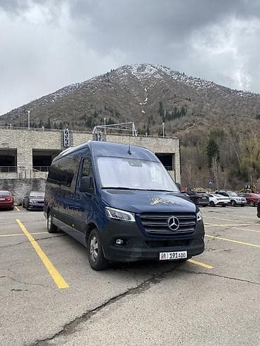 ленивец на даф: Пассажирский микроавтобус Mercedes‑Benz Sprinter 315 CDI (сине‑темный — 2