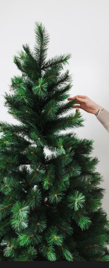 белый письменный стол: Искусственная новогодняя ёлка
- Цвет: зеленый не требует ухода — 1