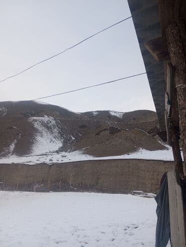 бишкек работу: Сарайга саанчы айым керек! Жатакана тамак Бекер! тез Арада! — 1