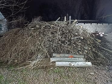бекер берилет: Отдам бесплатно дрова- тополь,Терек САМОВЫВОЗ.Лебединовка Выйдет — 2