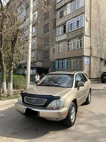 Lexus: Lexus RX: 2002 г., 3 л, Автомат, Бензин, Кроссовер — 3