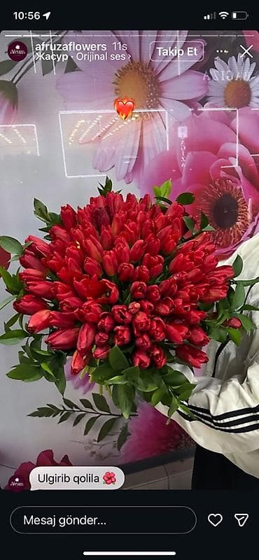 манты 10 с: Оптом и розницыбукеты тюльпанов - Состав: свежесрезанные тюльпаны — 10