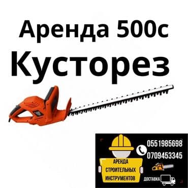 триммеры для сада: Сдам в аренду — 1