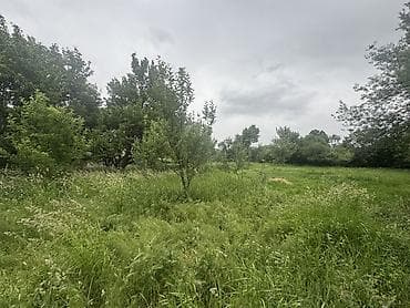 село джал какой район: 22 соток, Для строительства, Красная книга — 1