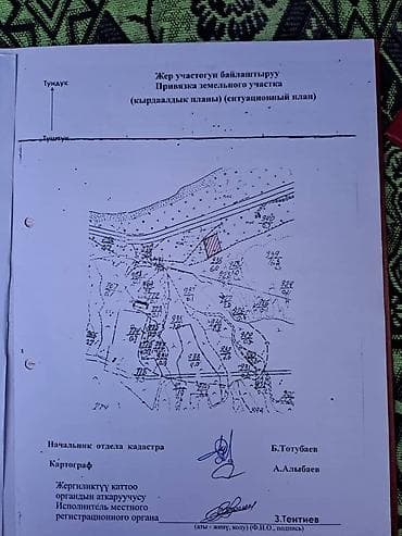 ысык куле: 100 соток, Бизнес үчүн, Кызыл китеп — 8