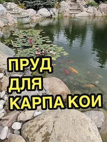 Офисы, Квартиры, Дома Больше 6 лет опыта
