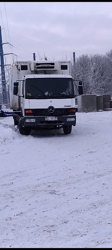 daf 95: Грузовик, Mercedes-Benz, Стандарт, Б/у — 1