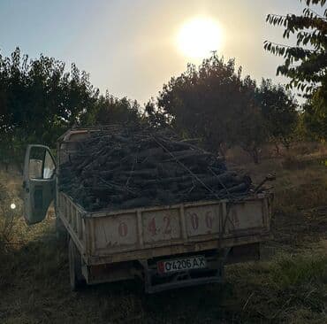 навес из дерева: Отун Өзү алып кетүү — 3