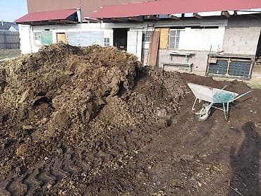 Перепревший навоз/компост из хозяйства - Натуральное органическое