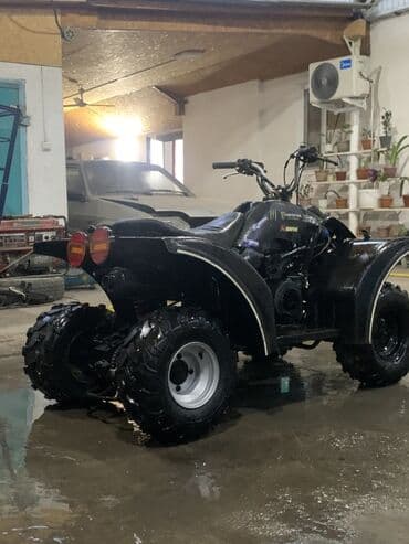 куплю опрыскиватель аккумуляторный: Квадроцикл Бензин, 160 куб. см, Взрослый — 3