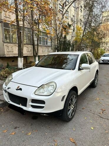 кофр на крышу автомобиля: Porsche Cayenne S: 2004 г., 4.5 л, Типтроник, Бензиновая, Кроссовер — 9