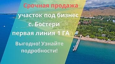 участок в балыкчы: 100 соток, Для бизнеса, Красная книга — 7