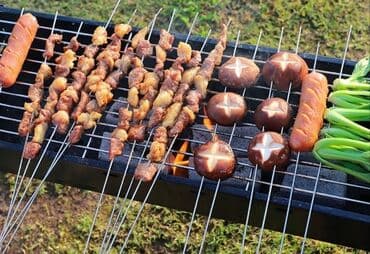 домашний мангал купить: Мангал Портативный, Платная доставка, Самовывоз — 3